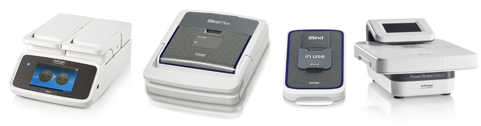 Invitrogen Western Blotting Devices Invitrogen Western Blotting Devices