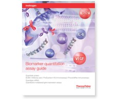 immunoassay-guide-to-protein-quantitation immunoassay-guide-to-protein-quantitation