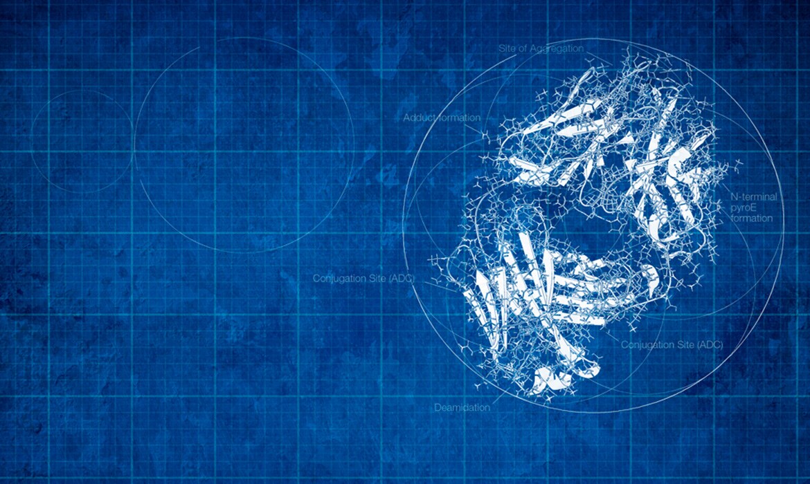 Automated Protein Structure Analysis Using DIA Based Hydrogen Deuterium Exchange Mass Spectrometry Automated Protein Structure Analysis Using DIA Based Hydrogen Deuterium Exchange Mass Spectrometry