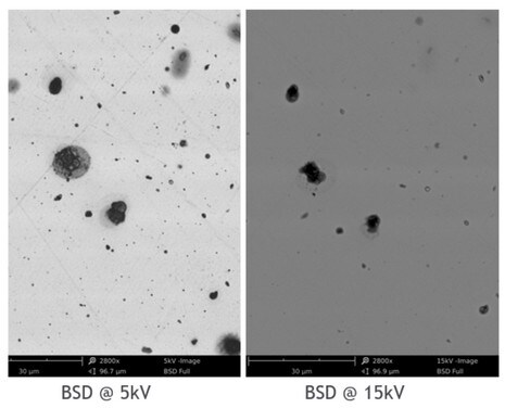 Backscattered electron imaging explained | Thermo Fisher Scientific - CN
