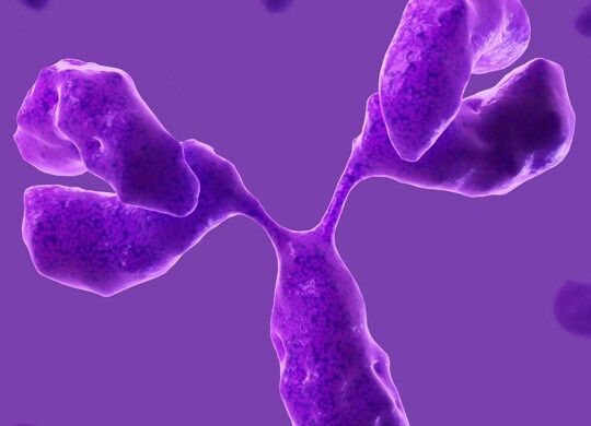 Pharma/Biopharma Pharma/Biopharma