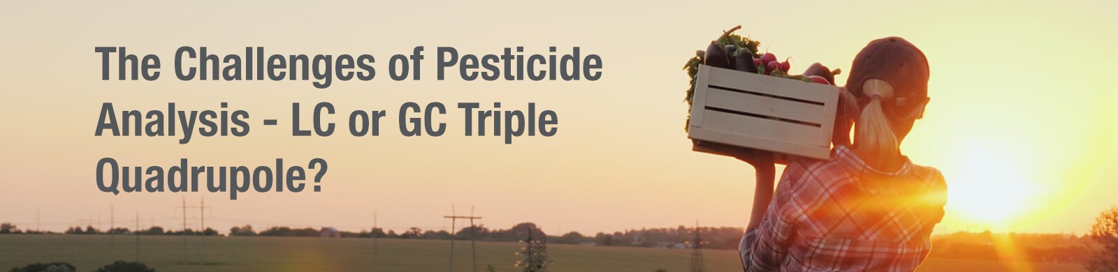 The Challenges of Pesticide Analysis - LC or GC Triple Quadrupole? The Challenges of Pesticide Analysis - LC or GC Triple Quadrupole?