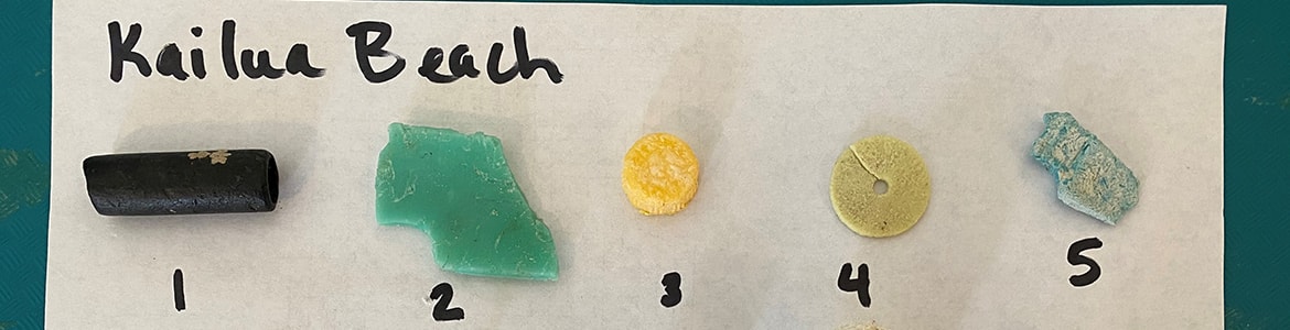 Microplastics found on Kaliua Beach Microplastics found on Kaliua Beach as part of the research of Dr. Jennifer Lynch