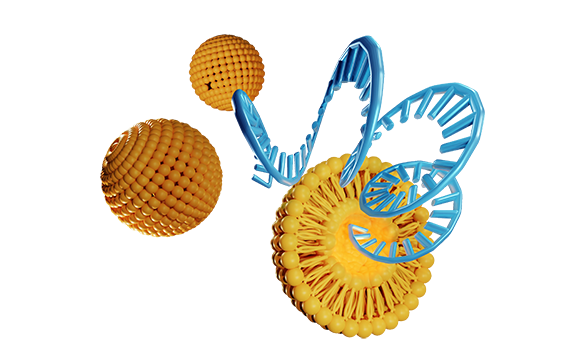 mRNA Toolkit mRNA Toolkit