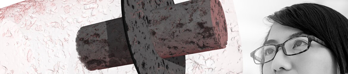 PerGeos Software for Digital Rock Analysis PerGeos Software for Digital Rock Analysis