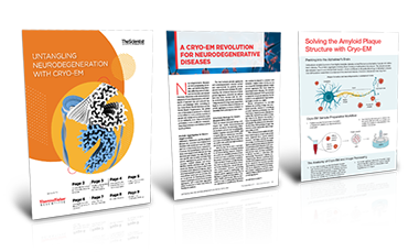 Untangling Neurodegeneration eBook Untangling Neurodegeneration eBook