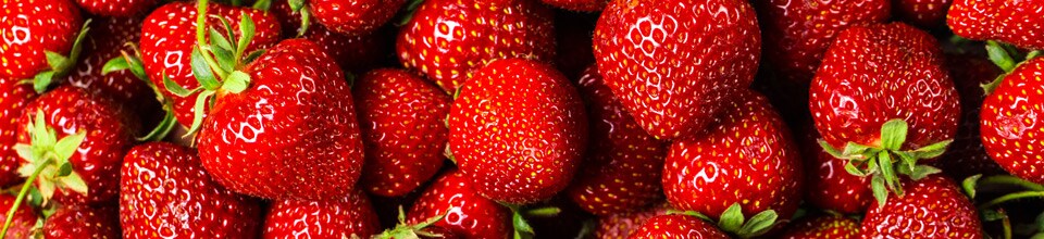 Analytical Challenges for Pesticide Residue Analysis in Food: Sample Preparation, Processing, Extraction and Cleanup Analytical Challenges for Pesticide Residue Analysis in Food: Sample Preparation, Processing, Extraction and Cleanup