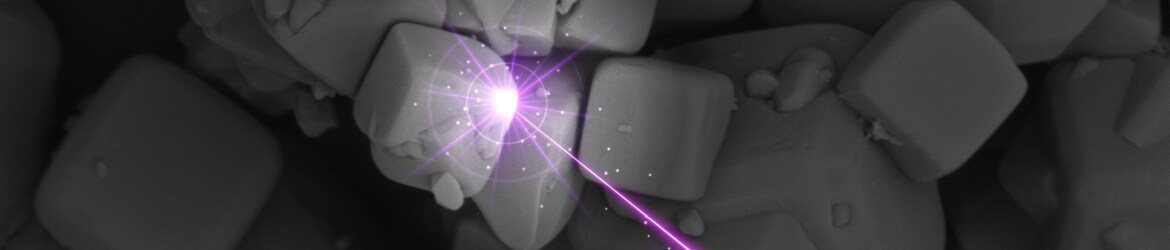 Phenom Pharos G2 SEM Demonstration Webinar Phenom Pharos G2 SEM Demonstration Webinar