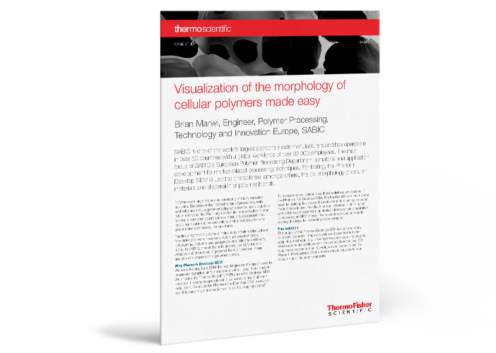 SABIC Case Study: Visualization of the Morphology of Cellular Polymers SABIC Case Study: Visualization of the Morphology of Cellular Polymers