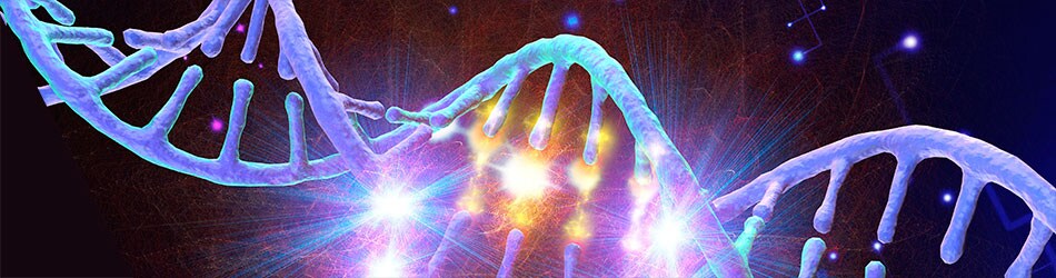 NGS-methylation-research-cost-request-form-header-image NGS-methylation-research-cost-request-form-header-image