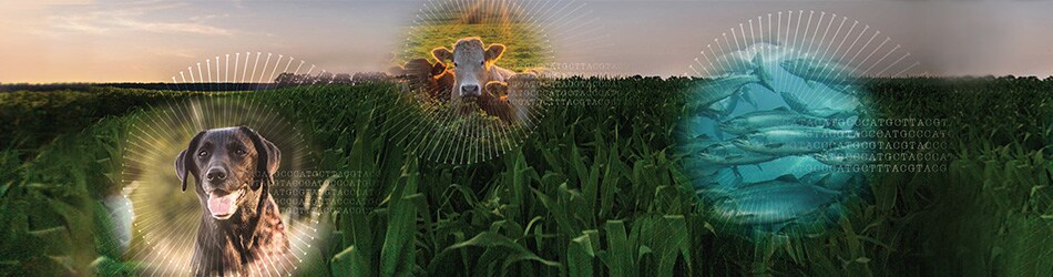 agrigenomics-pilot-project-banner-950 agrigenomics-pilot-project-banner-950