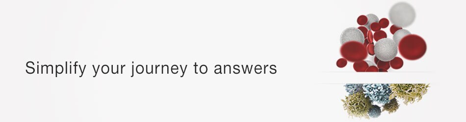 ash-2020-contact-header-image ash-2020-contact-header-image