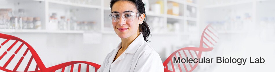 COL012893-MolBioBack-to-the-Lab-image-950x250 COL012893-MolBioBack-to-the-Lab-image-950x250