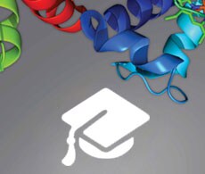 western-blot-analysis-product-quote-request-5-230x195 western-blot-analysis-product-quote-request-5-230x195