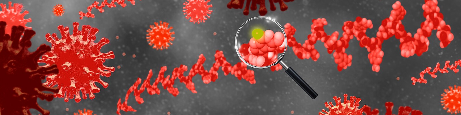 Molecular Testing Solutions Newsletter Molecular Testing Solutions Newsletter