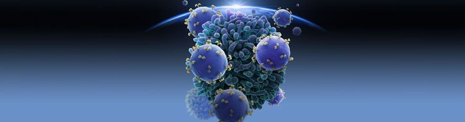 cancer-pathways-posters-header-image cancer-pathways-posters-header-image