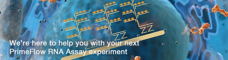 get-support-primeflow-rna-assay-950x250 get-support-primeflow-rna-assay-950x250