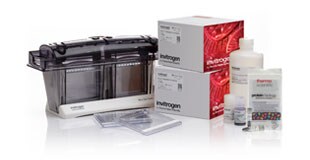 Precast-gel-welcome-pack-02 Precast-gel-welcome-pack-02