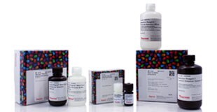 Chemiluminsence-substrates-03 Chemiluminsence-substrates-03