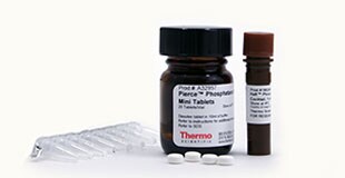 Protease-inhibitors-01 Protease-inhibitors-01