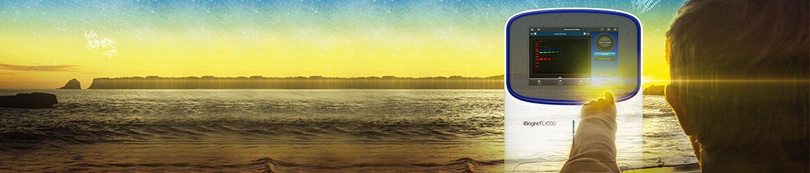 ibright-request-quote-1170x250 ibright-request-quote-1170x250