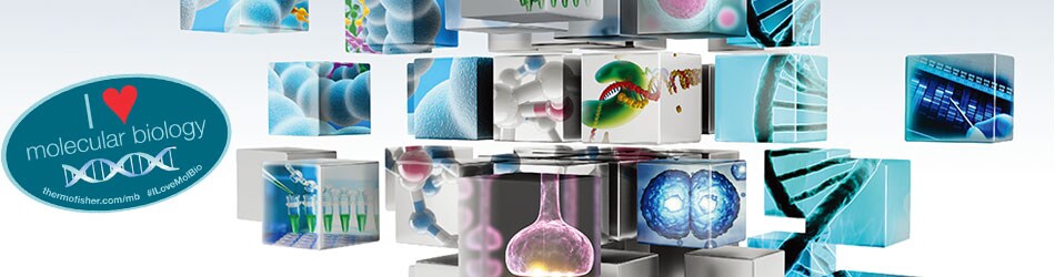 ilmb-sticker-registration-thank-you-head-image-finals ilmb-sticker-registration-thank-you-head-image-finals