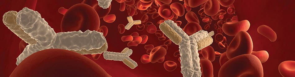 PG1993-PJT5248-COL011098-Immunology-Image-resize-Global-F PG1993-PJT5248-COL011098-Immunology-Image-resize-Global-F
