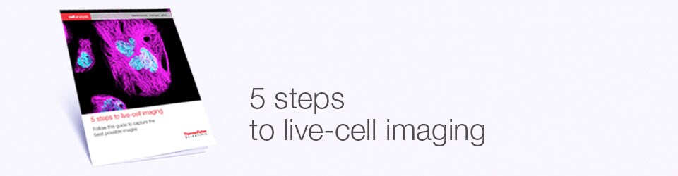 live-cell-imaging-guide-request-950x250 live-cell-imaging-guide-request-950x250