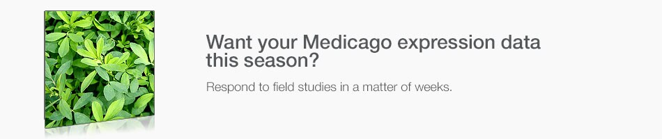 affy-banner-medicago-950x200 affy-banner-medicago-950x200