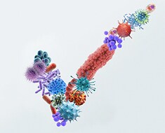 WF24129-pathogen-detection-solutions WF24129-pathogen-detection-solutions