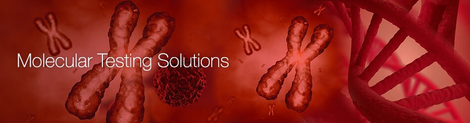 Molecular Testing Solutions Molecular Testing Solutions