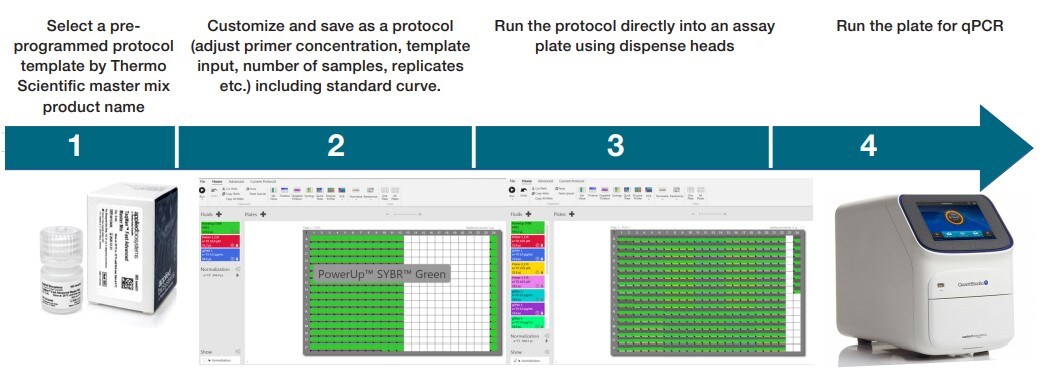 LPD PICO WORKFLOW LPD PICO WORKFLOW