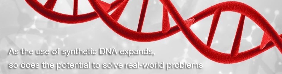 Red-DNA-Image-950x250 Red-DNA-Image-950x250