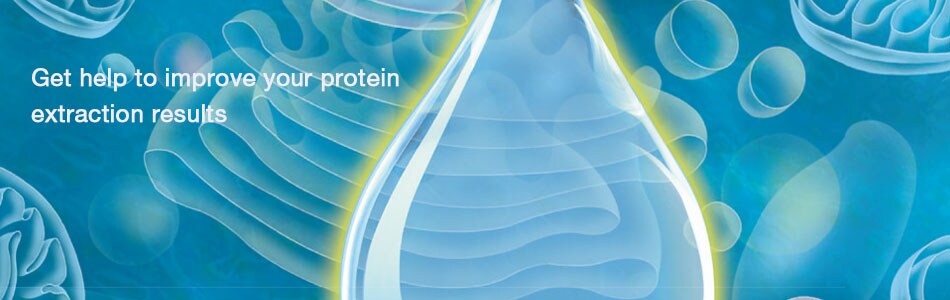 protein-extraction-technical-handbook-download-head-image protein-extraction-technical-handbook-download-head-image