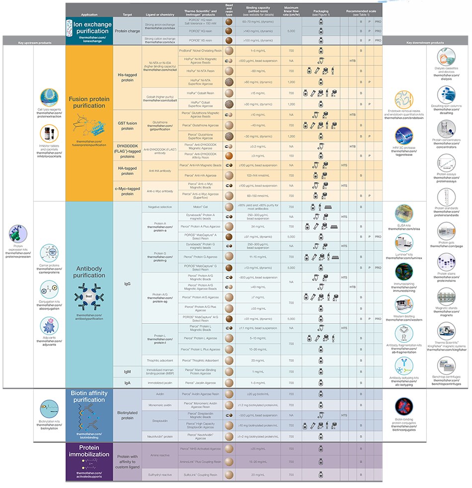 protein-purification-banner-211013 protein-purification-banner-211013