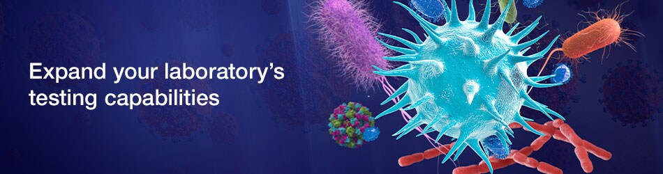 PG2314-PJT7818-COL021525-GTS-COVID-Core-Q4-2022-Form-Header-Global-950x250-F PG2314-PJT7818-COL021525-GTS-COVID-Core-Q4-2022-Form-Header-Global-950x250-F