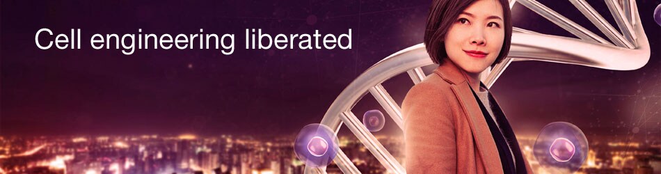 tal-mrna-quote-request-950x250 tal-mrna-quote-request-950x250