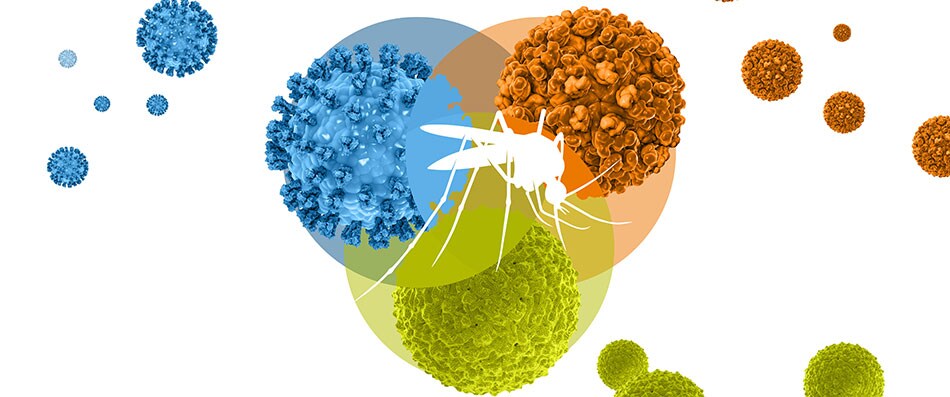 Biopharma Amp Plot Biopharma Amp Plot