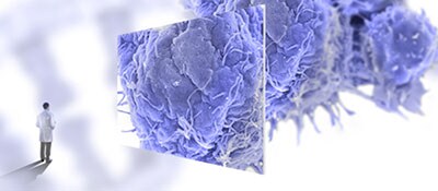 FocusedNGS FocusedNGS