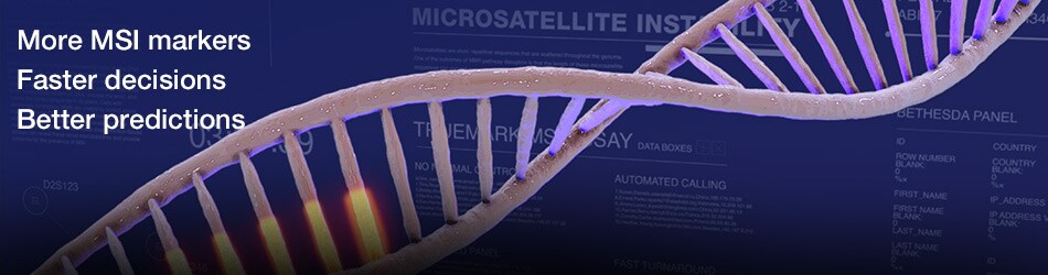 truemark-msi-analysis-software-header-image truemark-msi-analysis-software-header-image