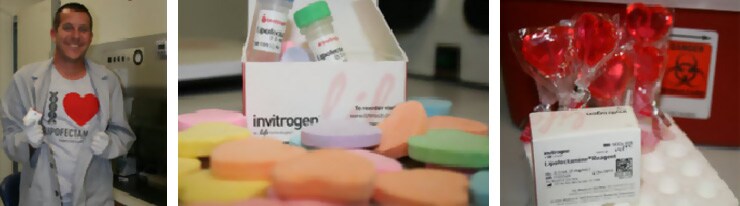 Lipofectamine 20周年庆 以盒示爱