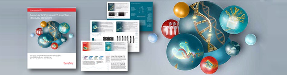 molecular-biology-research-essentials-brochure-request-head-image molecular-biology-research-essentials-brochure-request-head-image