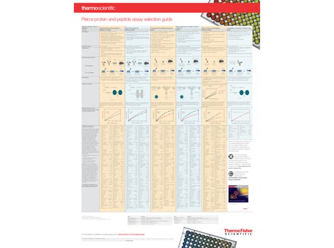 Protein and Peptide Assay Selection Poster Protein and Peptide Assay Selection Poster