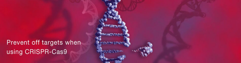 quote-request-early-access-hifi-cas9-protein-header-image quote-request-early-access-hifi-cas9-protein-header-image