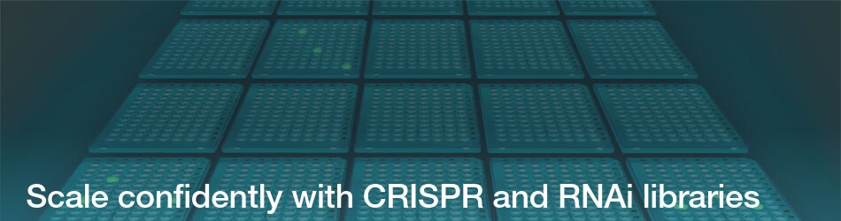 Invitrogen screening solutions Invitrogen screening solutions