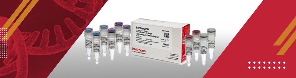 kit-sample-banner-211110 kit-sample-banner-211110