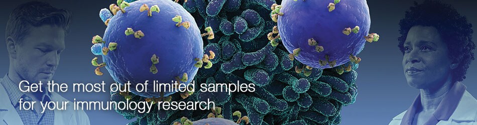 immunology-2019-banner immunology-2019-banner