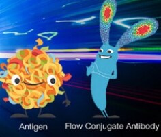 immunophenotyping-panel-230x195 immunophenotyping-panel-230x195