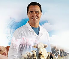 AH-IPC-show-230x195 AH-IPC-show-230x195