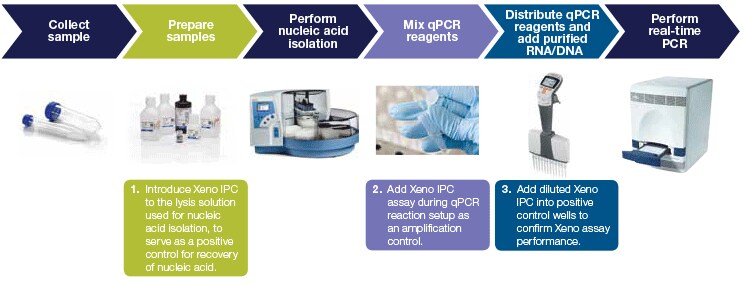 IPC-workflow-745x180-r2 IPC-workflow-745x180-r2